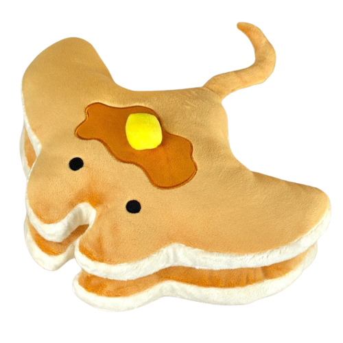 pancake manta ray